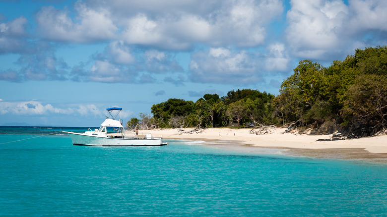 Buck Island, St. Croix beach