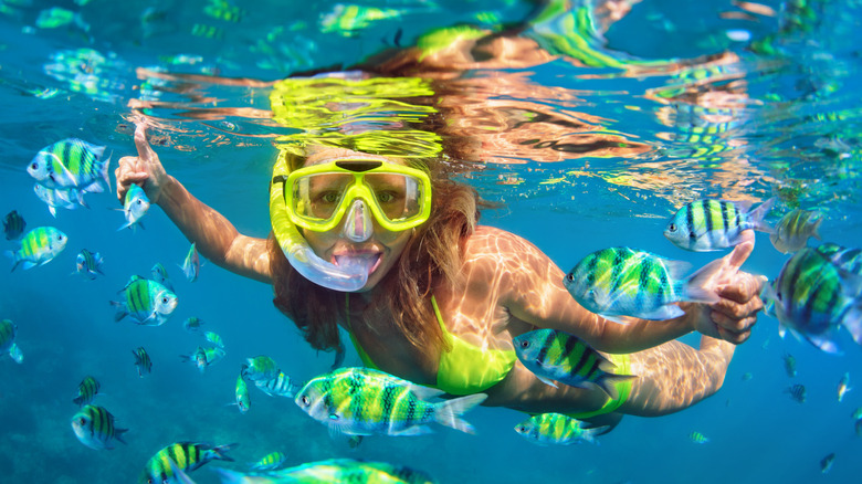 woman snorkeling near fish