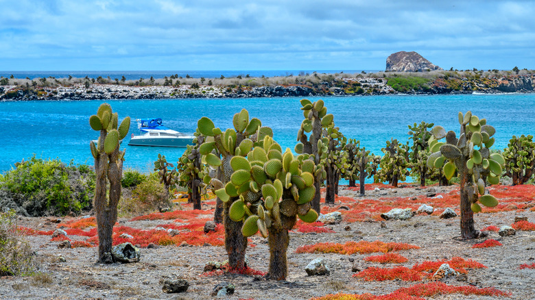 Plaza Sur, Galapagos water