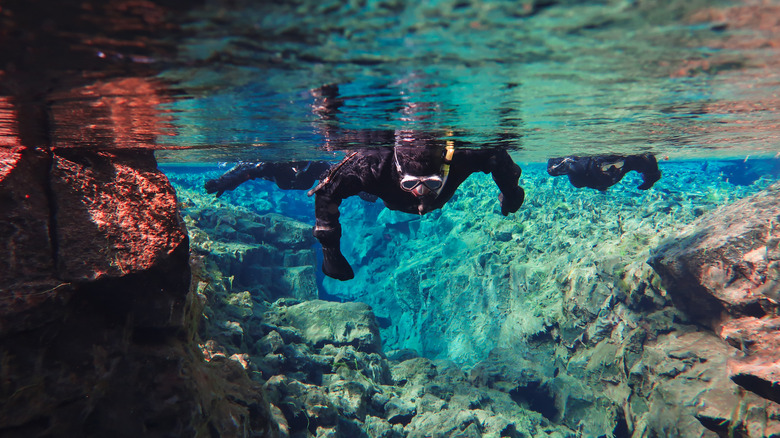 Thingvellir National Park, Iceland snorkeler