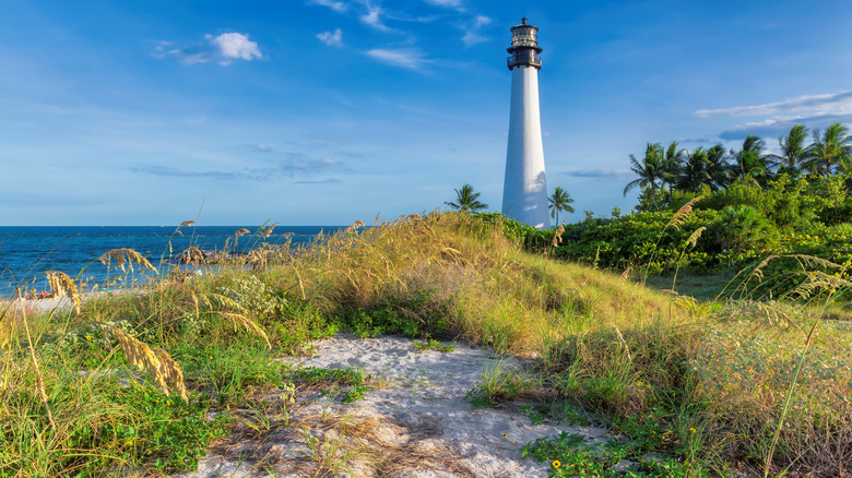 Cape Florida Lighthouse and dunes