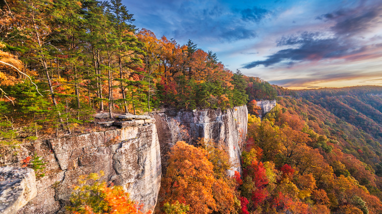 new river gorge