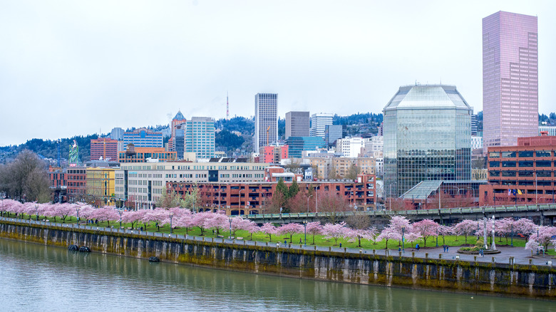 River banks in Portland 