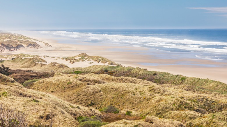 beach sand dunes