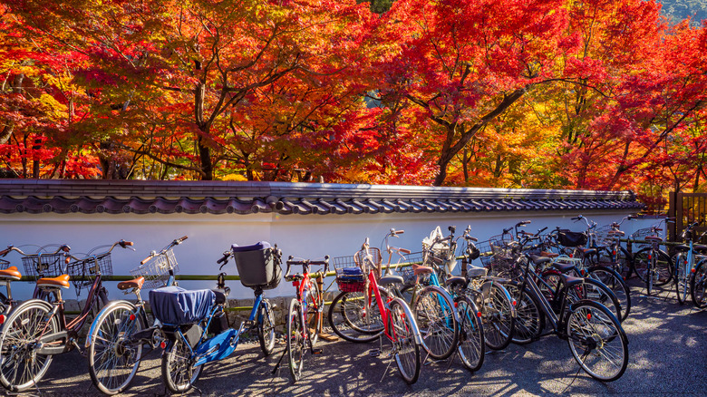 Bike parking in Kyoto in fall