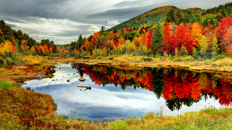 New Hampshire in the fall