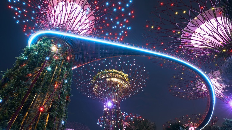 Skyway and supertrees at night