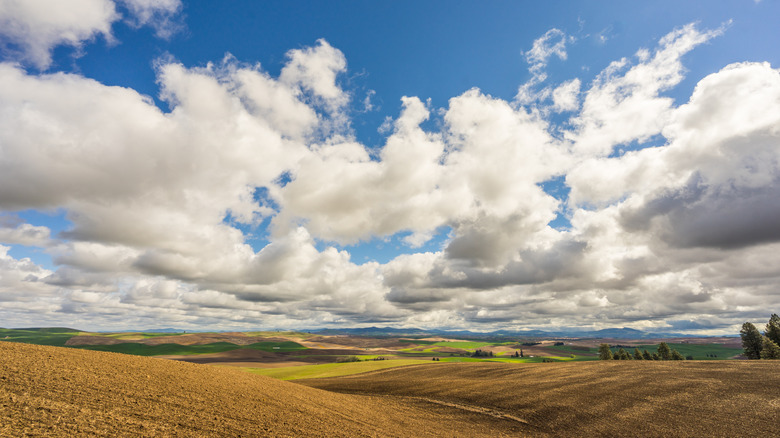 Kamiak Butte State Park