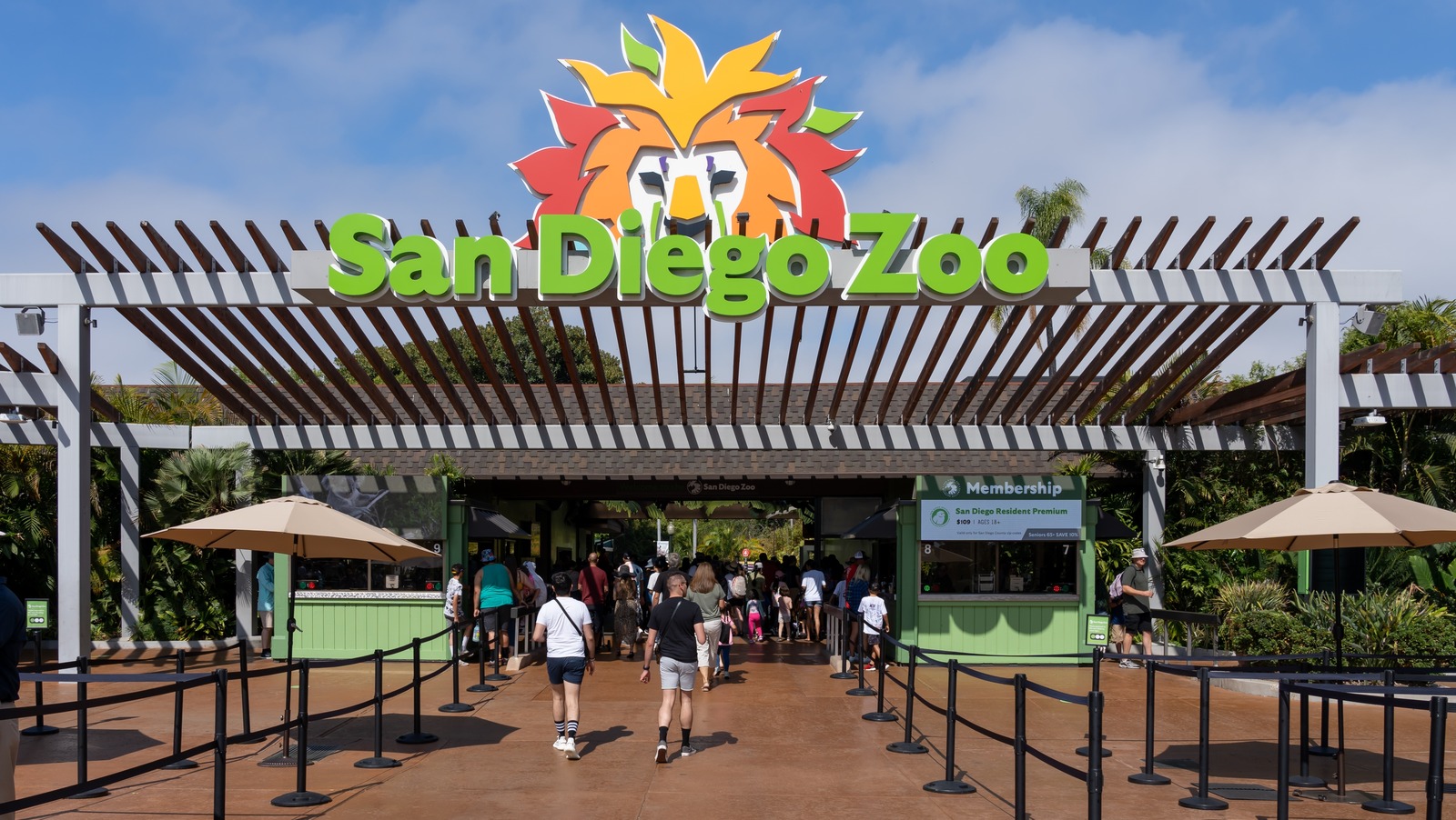 Build The Perfect OneDay San Diego Zoo Itinerary Explore TrendRadars