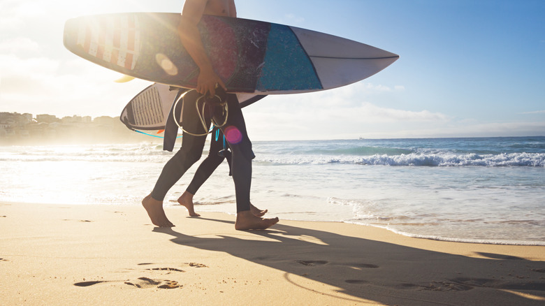 people with surfboards on beach