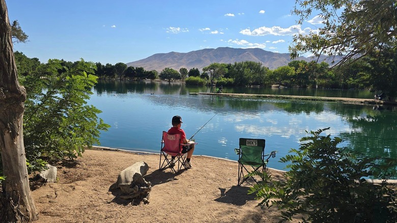 Person fishing by lake on a sunny day