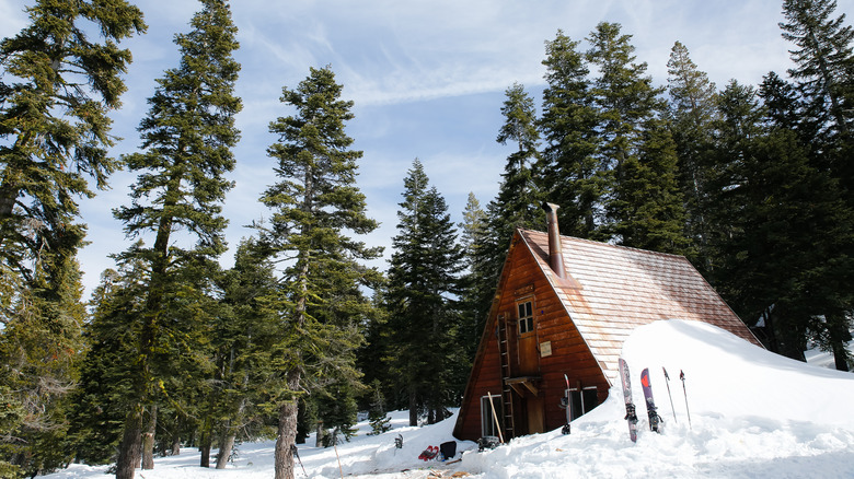 ski-in hut in Tahoe forest