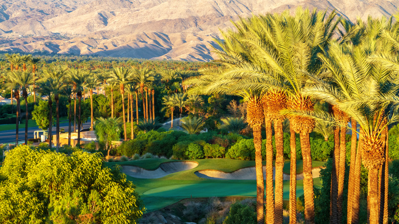 luxury golf course in Palm Desert
