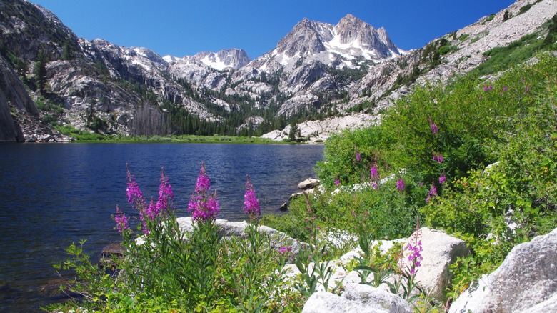 Sierra Nevadas mountain lake