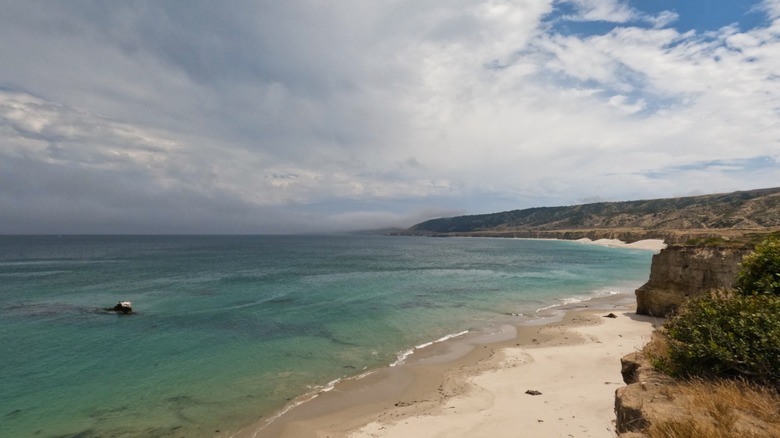 Channel Islands National Park beach