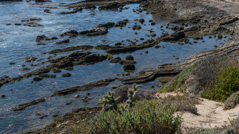 Overlook at Crystal Cove State Park