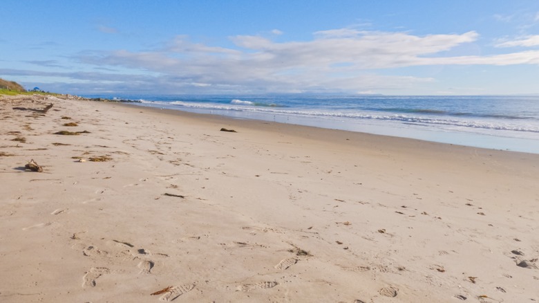 Beach at El Capitán State Beach