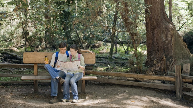 couple sitting redwoods hiking trail