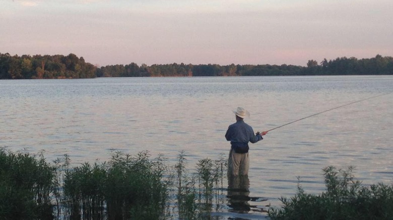 Man fishing in Sangchris Lake