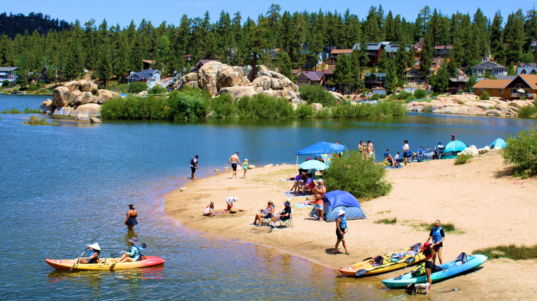 people relaxing lake beach