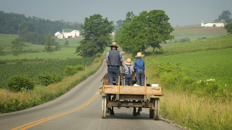 Amish family riding buggy