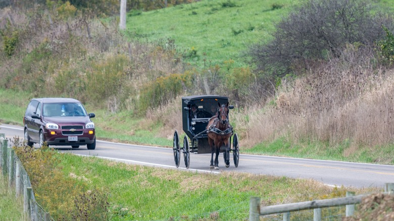 A horse-and-buggy and car driving on a road