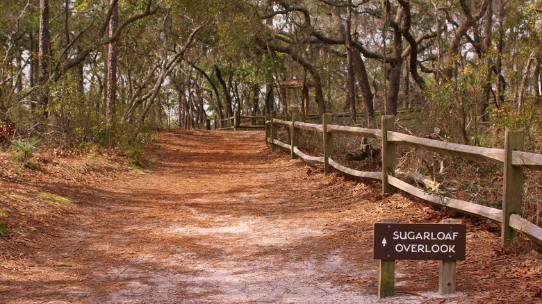 Carolina Beach campsite trail 