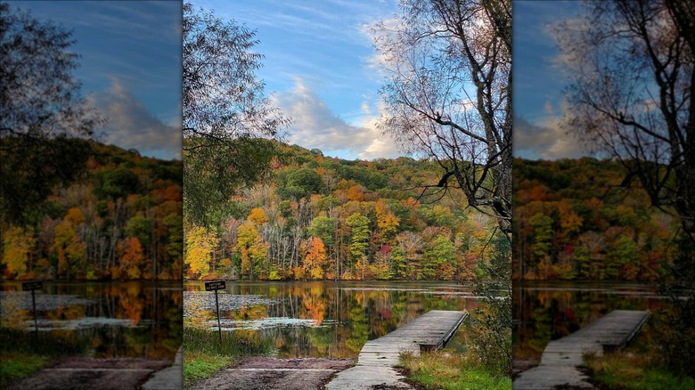 Autumn colors at Plum Orchard Lake