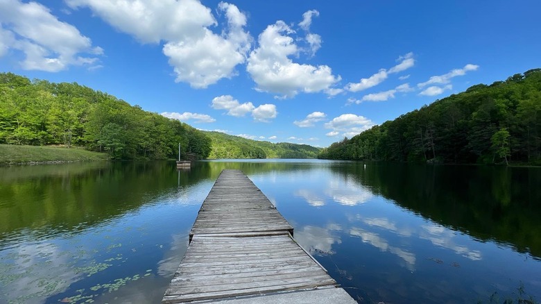 Lake and trees under blue sky