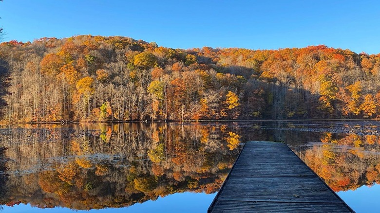 Lake and autumn colors