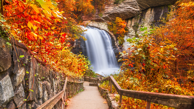 Looking glass falls in autumn