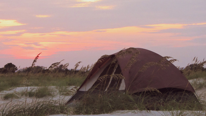 tent on beach Cape Lookout