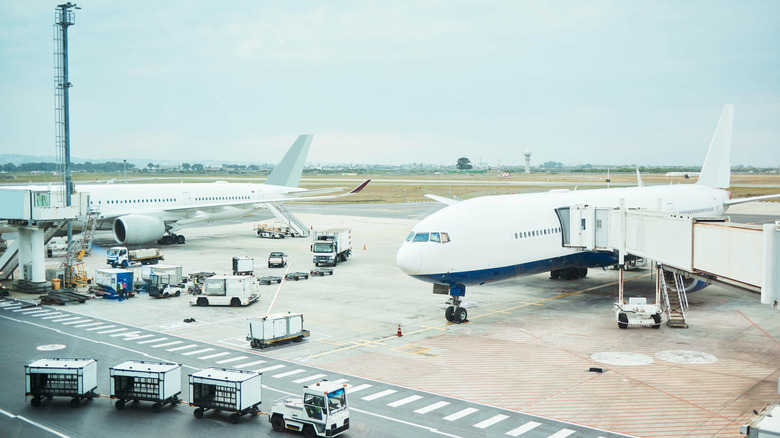 Planes on a tarmac.