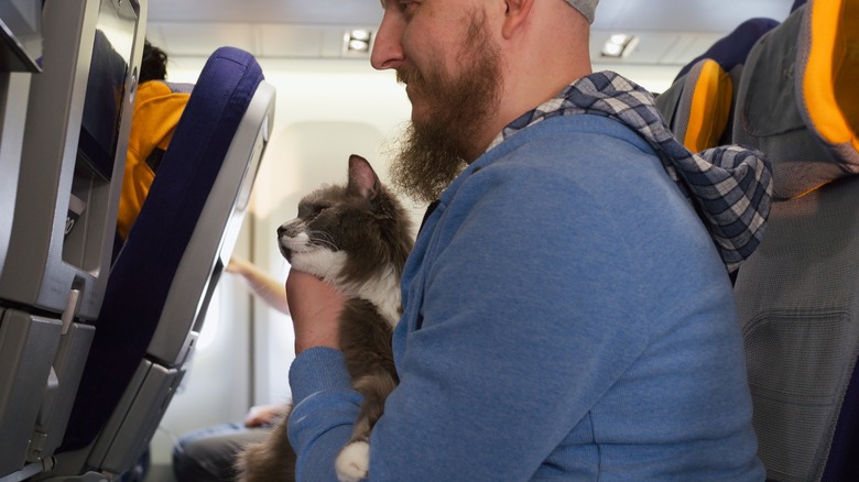 man holding cat on plane