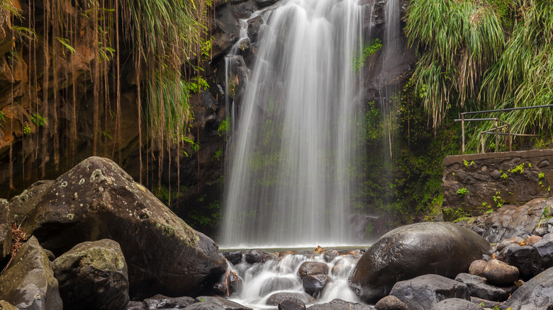 Stunning Annandale Falls in Grenada