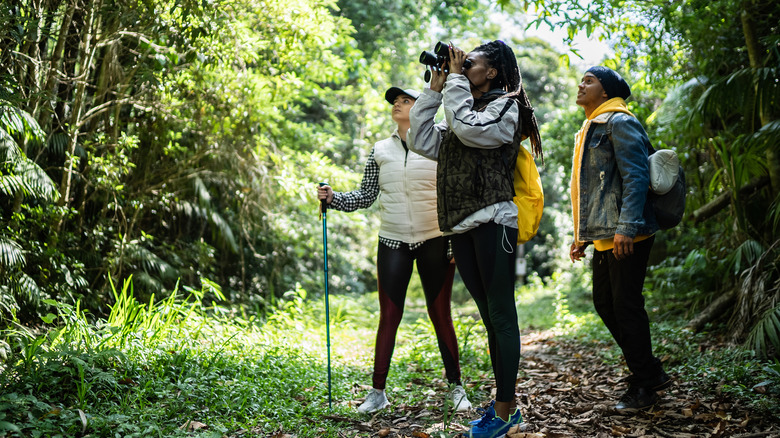 group of three friends watching wildlife on a hike with binoculars