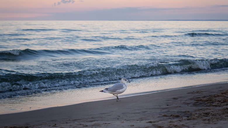 Sunset at Cedar Point Beach 