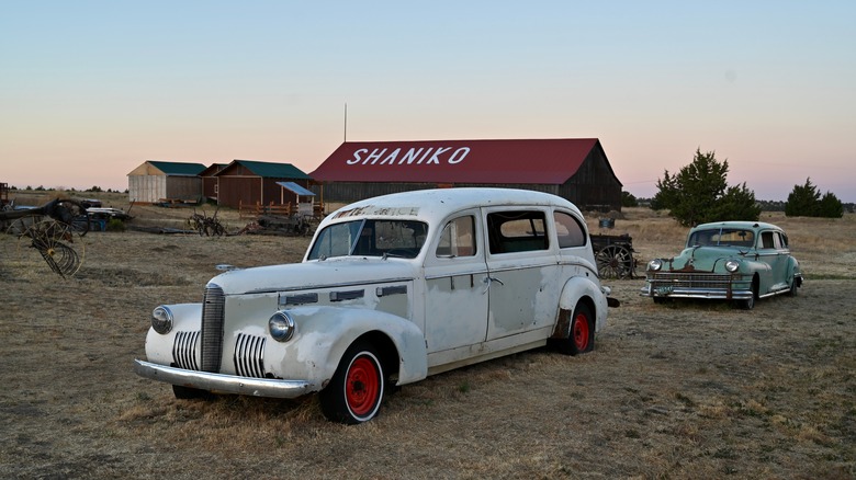 Oldsmobiles in the field of Shaniko