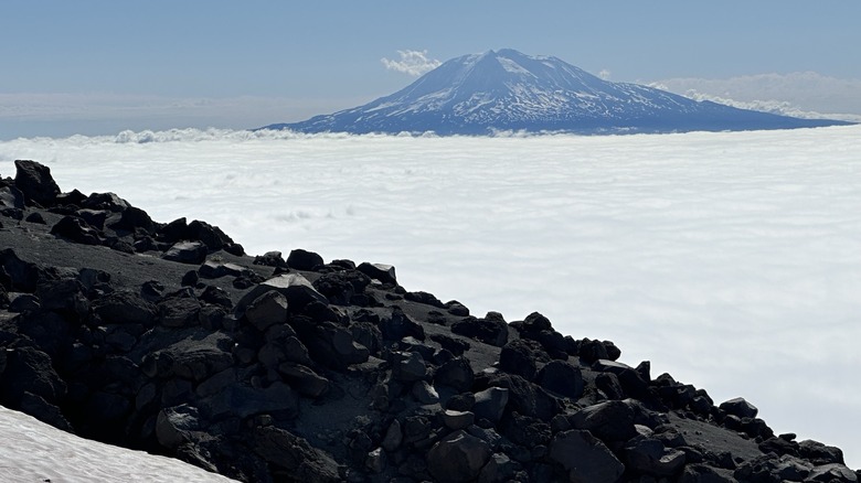 Mount Rainier seen from Mount Saint Helens