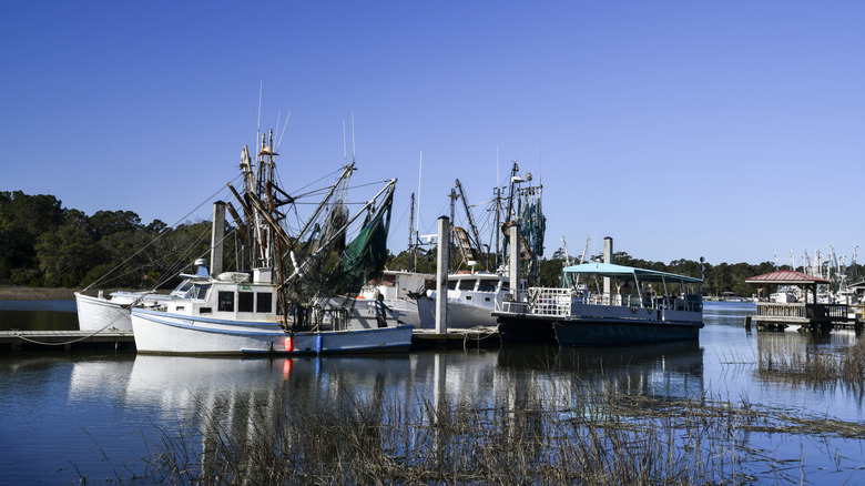 Shrimp boats in McClellanville