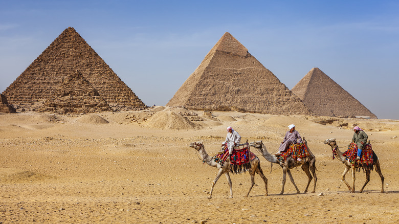 the Pyramids in Giza