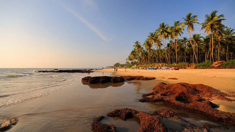 a beach in Goa