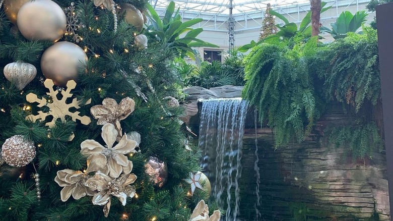 Gaylord Palms Resort & Convention Center, Kissimmee, Florida