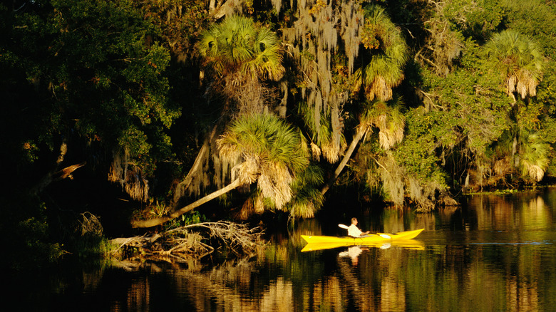 Solo kayaker in the Florida Everglades