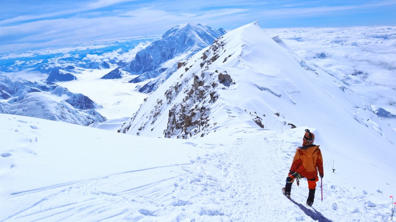 climber gazing over snowy mountains