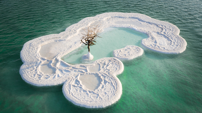 Salt Islands on the Dead Sea 