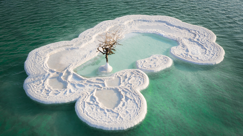 Salt Islands on the Dead Sea