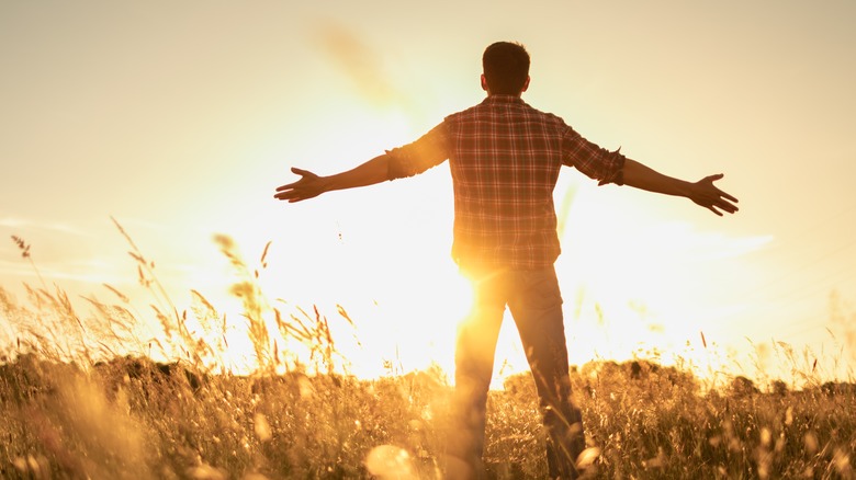 man in field at sunset