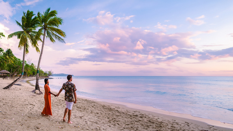 St Lucia beach palm trees