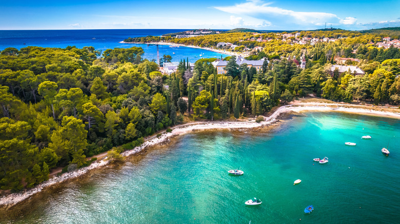 Pebbled beach and forest in Rovinj, Croatia